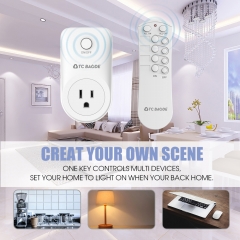Remote Control Outlet Kit(1 remote + 1 outlet)